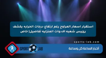 استقرار أسعار المراوح رغم ارتفاع درجات الحرارة يكشف رئيس شعبة الأدوات المنزلية تفاصيل| خاص